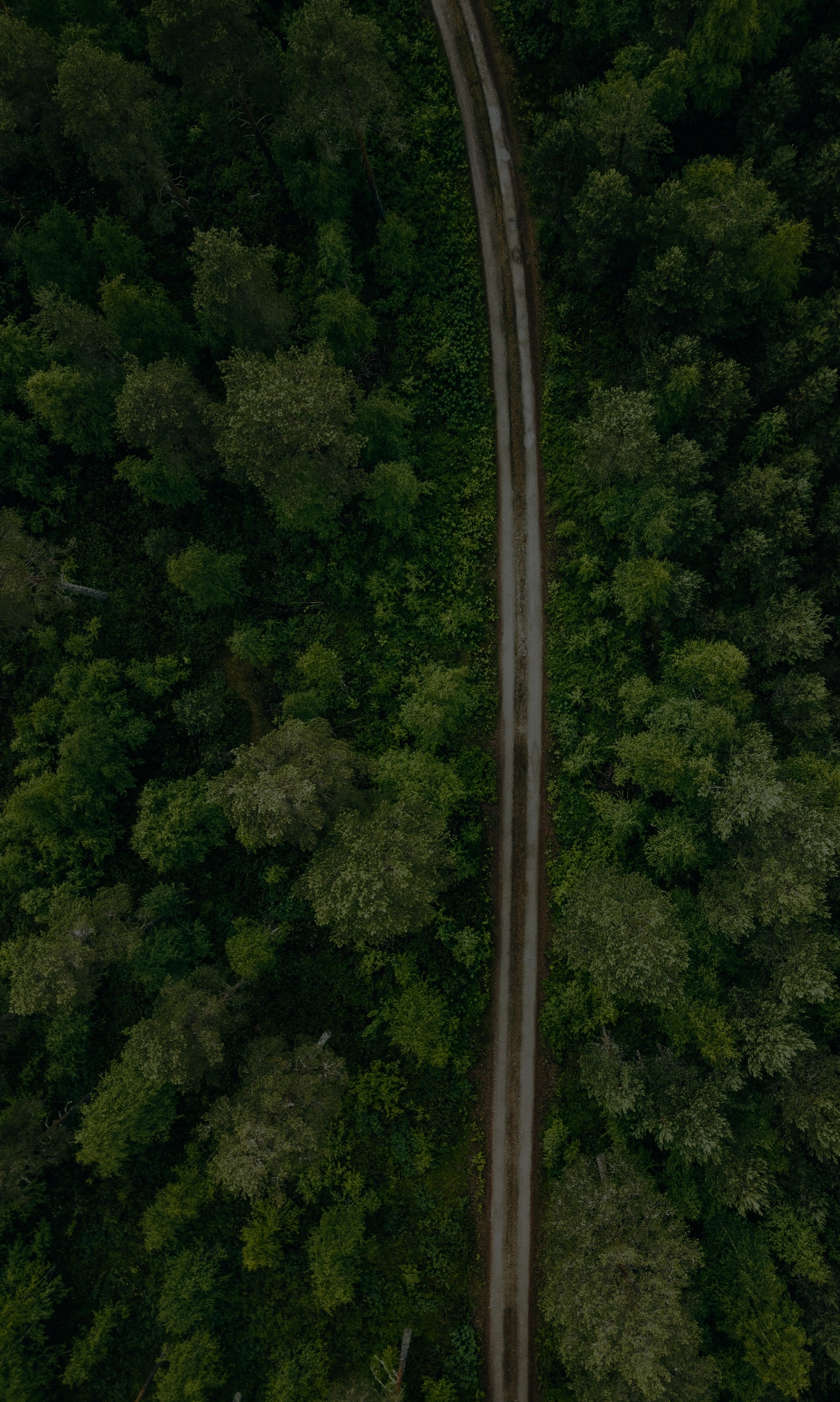 Nos quieres conocer mas