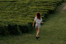 Financiación, ayudas y formación para jóvenes agricultores: pasos concretos para emprender en agro